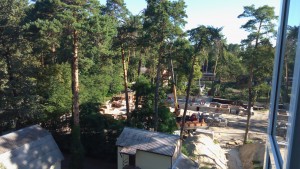 IMG_20160808_082042